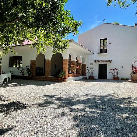 Villa Tana Pacenzia Cefalù Zewnętrze zdjęcie