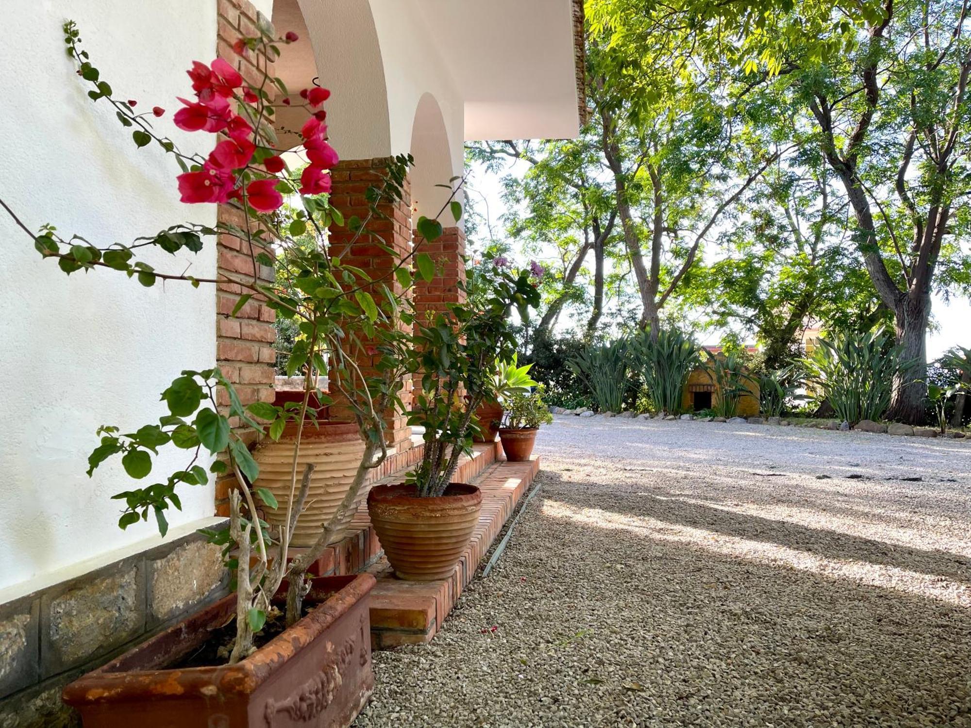 Villa Tana Pacenzia Cefalù Zewnętrze zdjęcie